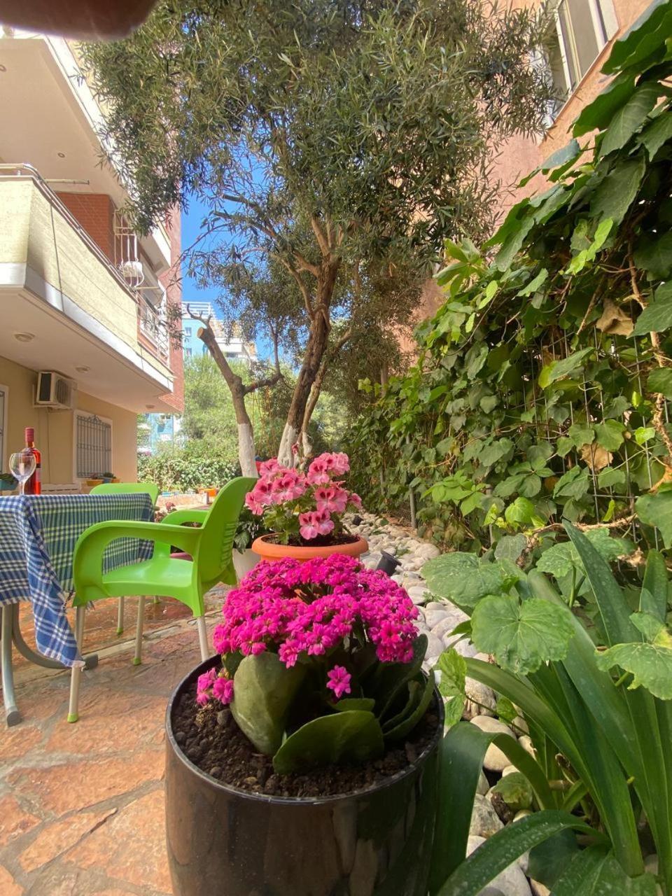 Olive Tree Apartment Saranda Zewnętrze zdjęcie