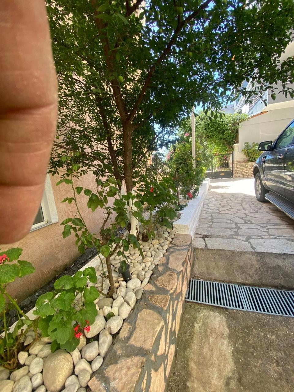 Olive Tree Apartment Saranda Zewnętrze zdjęcie